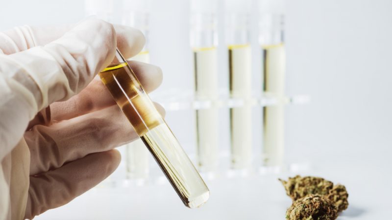 CBD: Checking for third-party lab testing