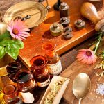 Rediscovering Nature's Healing Power: Traveling Through Customary Herbal Remedies