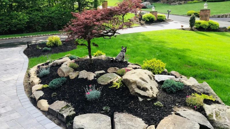 Expert Tips from Landscaping Services on Maintaining a Healthy Lawn