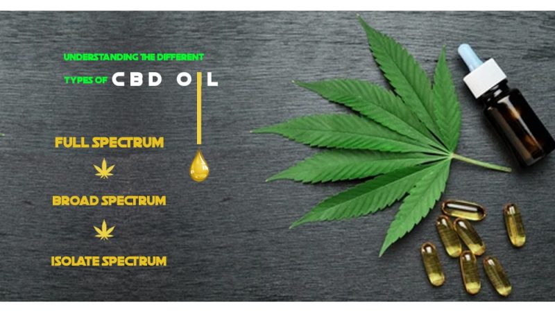 Choosing the Best CBD Oils for Pain: Top Recommendations for Natural Remedies