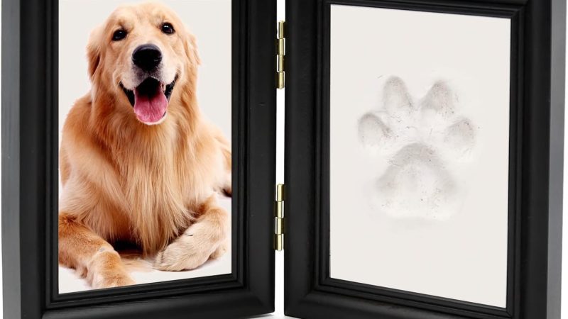 Cherishing Your Pet’s Love Forever with Paw Prints to Precious Keepsakes